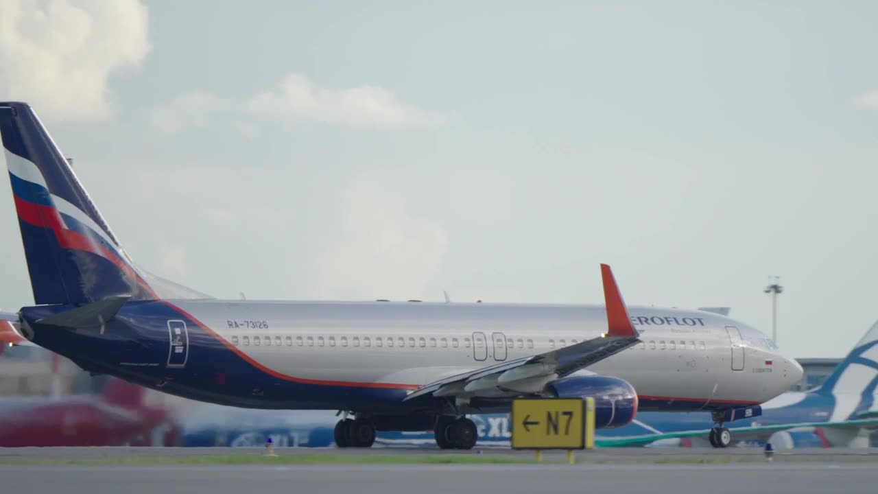 What do an airplane and a bat have in common?