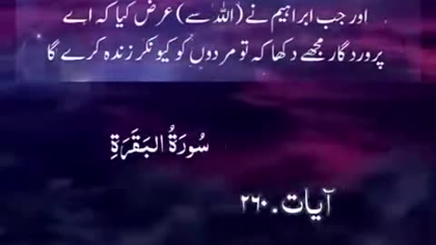 Beshak 💯♥️✨