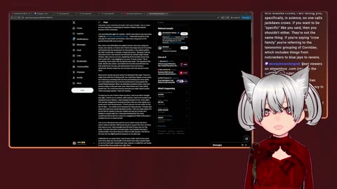 🍞 TOTALLY TOASTY TUESDAY 🍞