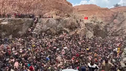 THE GRIM, UNETHICAL REALITY OF NET ZERO