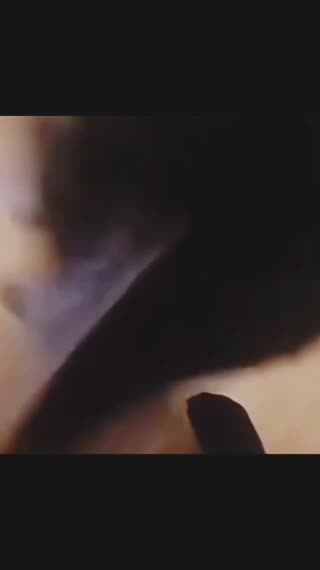 Funny reaction carton dogs if you are catalogue