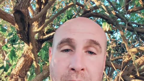 2 Effortless Ways to Get Free Website Traffic