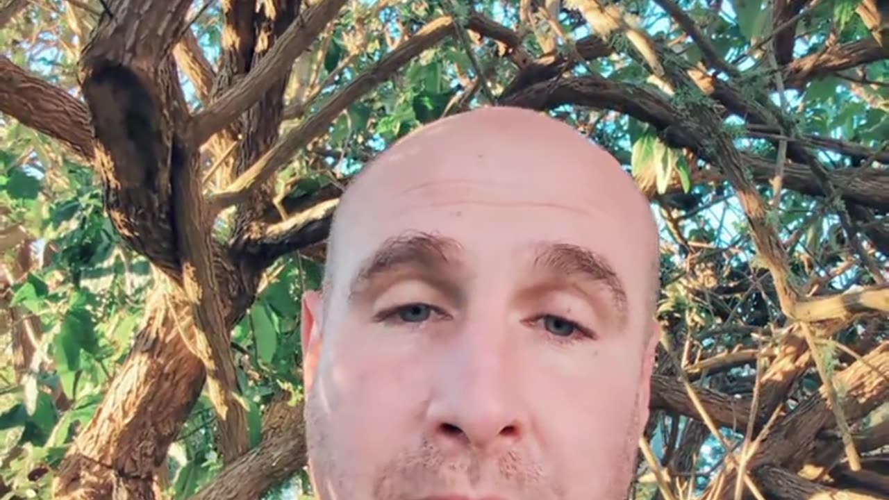 2 Effortless Ways to Get Free Website Traffic