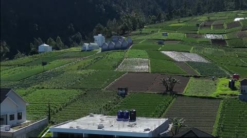 Daily Horoscope | Capricorn 🌟