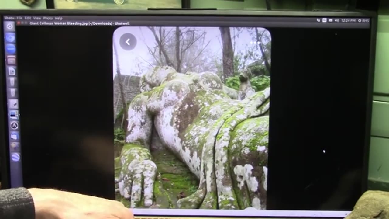 Ovid Claimed Gods turned Creatures like Goddesses and Giants even Dragons Into Landscape and Statues