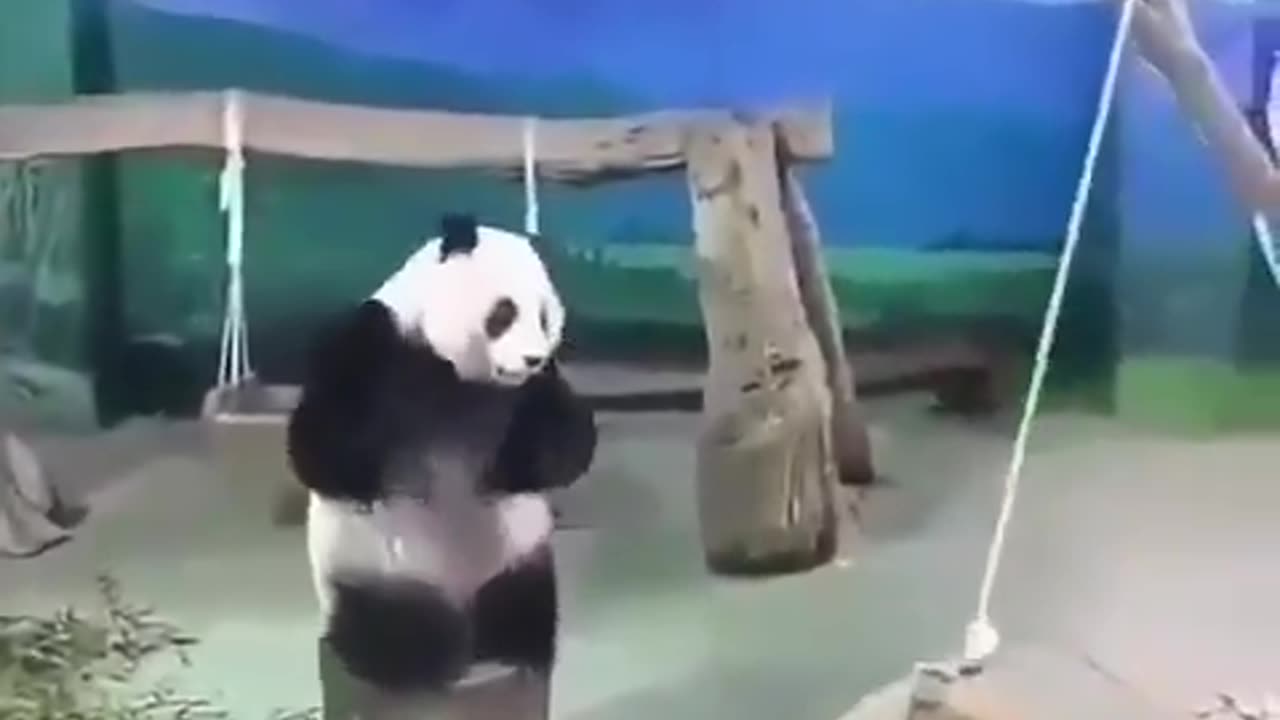 Panda Jump!!! 🐼😭