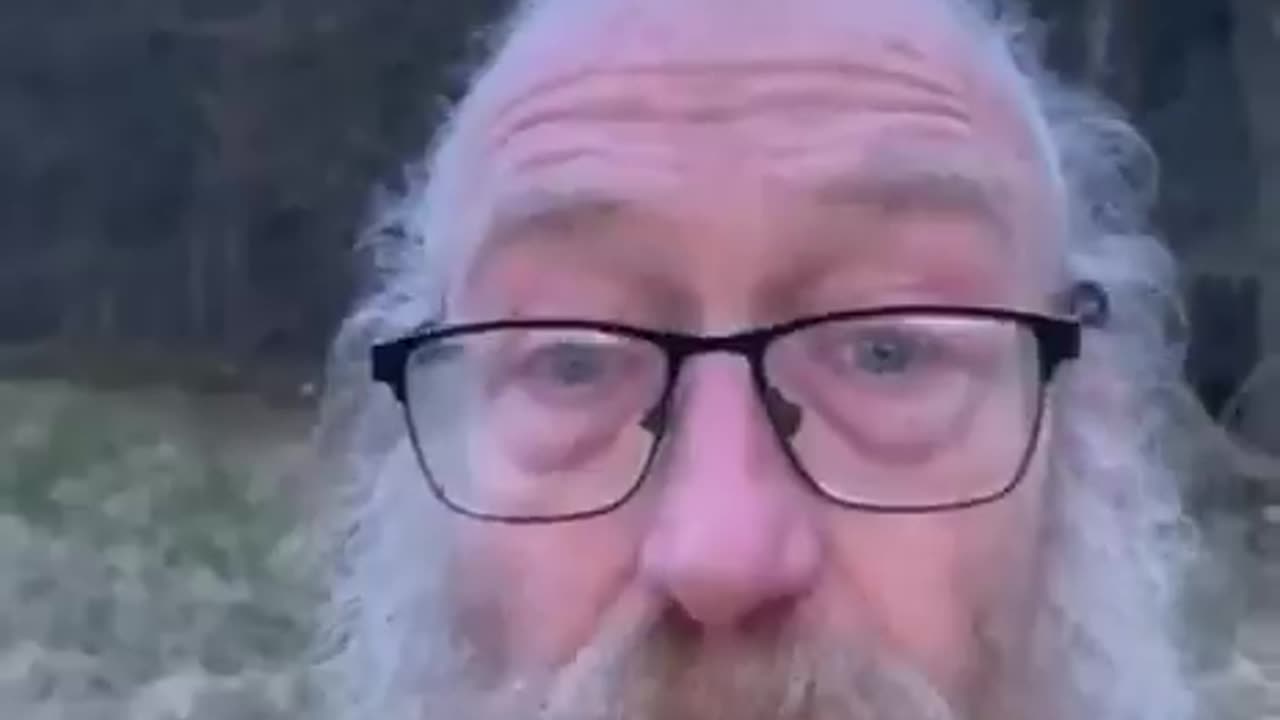 Alzheimer's is caused by what?