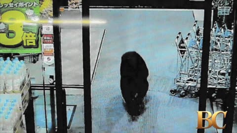 Bear injures 2 people in Japan grocery store as man killed in separate suspected attack