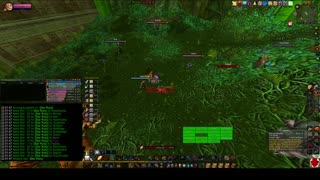 Turtle Wow - MM Weekly ZG - 4 January - Paladin POV