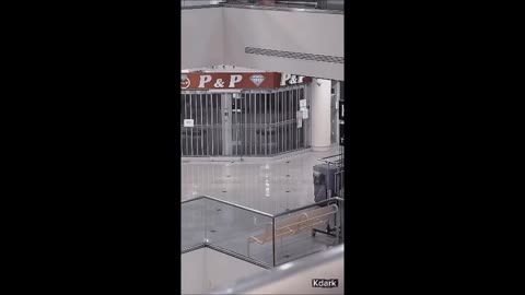 Black Walker dogman in motion... this video was taken in Smuggler's Notch VT