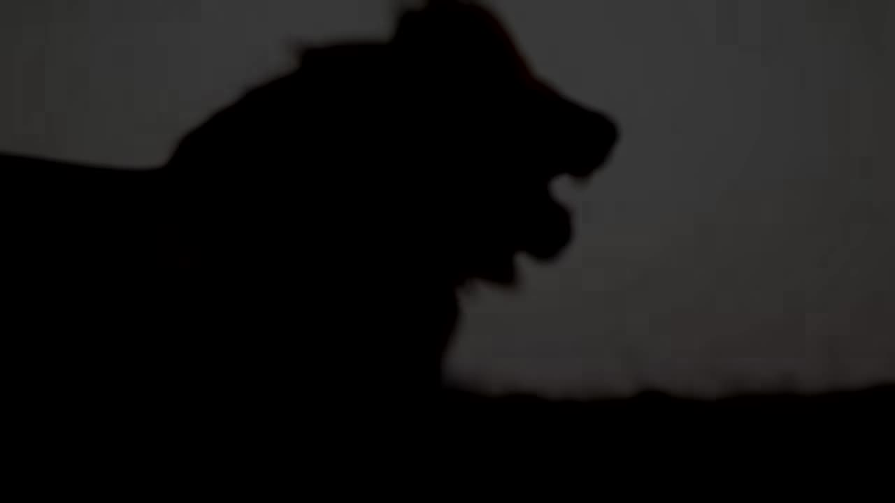 LION MENTALITY - Motivational Video