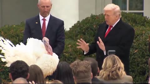 STOP IT!!!🦃😂😂😂