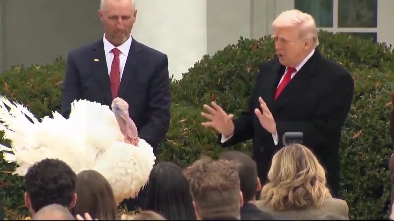 STOP IT!!!🦃😂😂😂