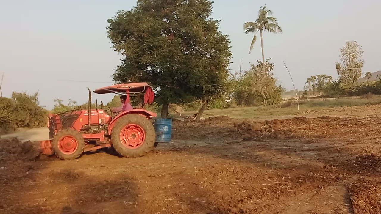 Master GongSun Taoism - Family Farm Life: Clearing the Land for Planting!