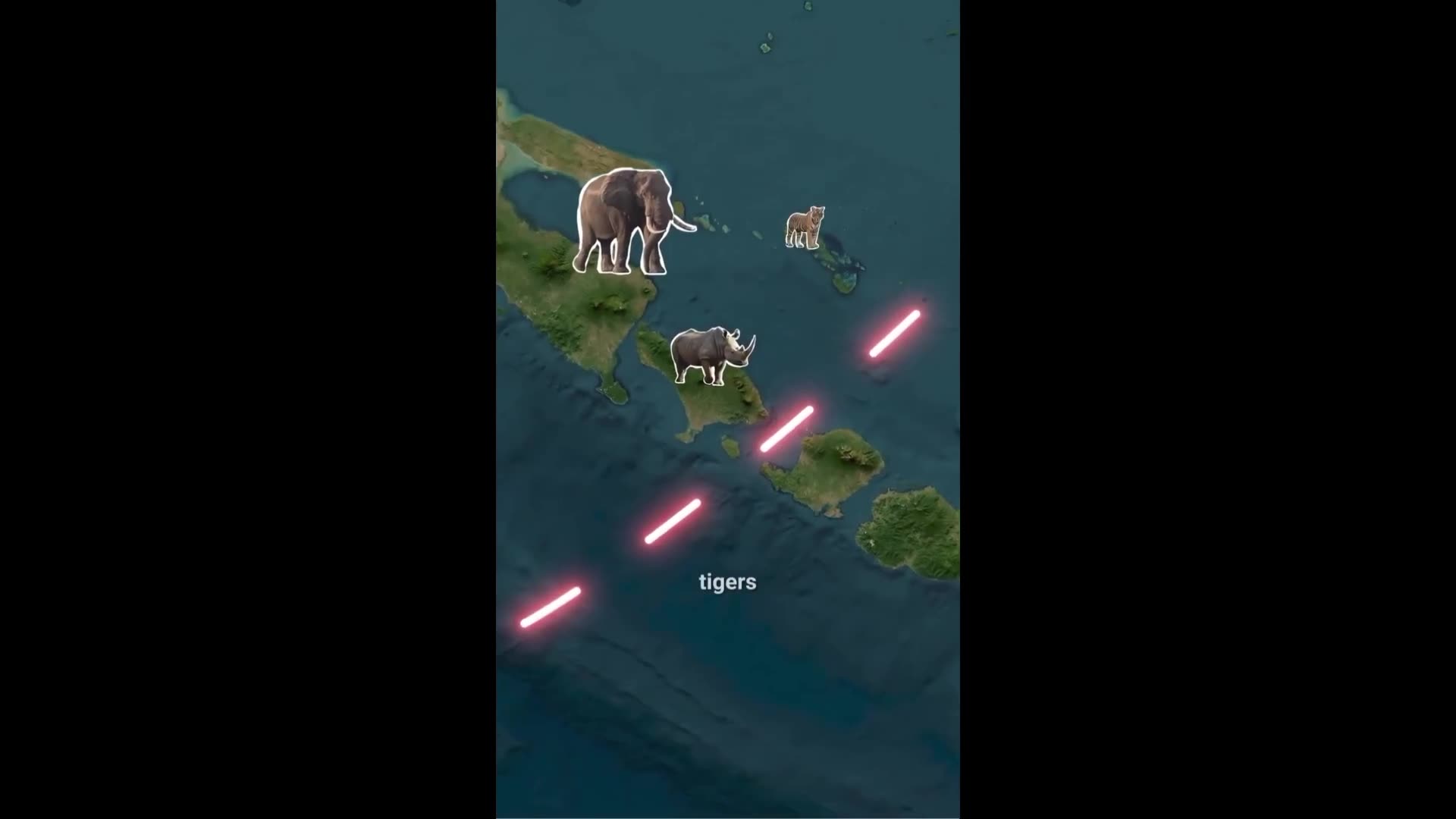 Animals do not cross an invisible line hundreds of miles across and WOW - why