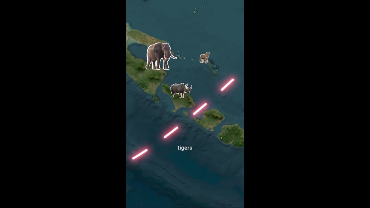 Animals do not cross an invisible line hundreds of miles across and WOW - why