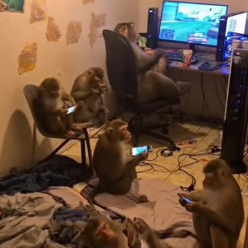 Me my friends PUBG squad 🤣😎