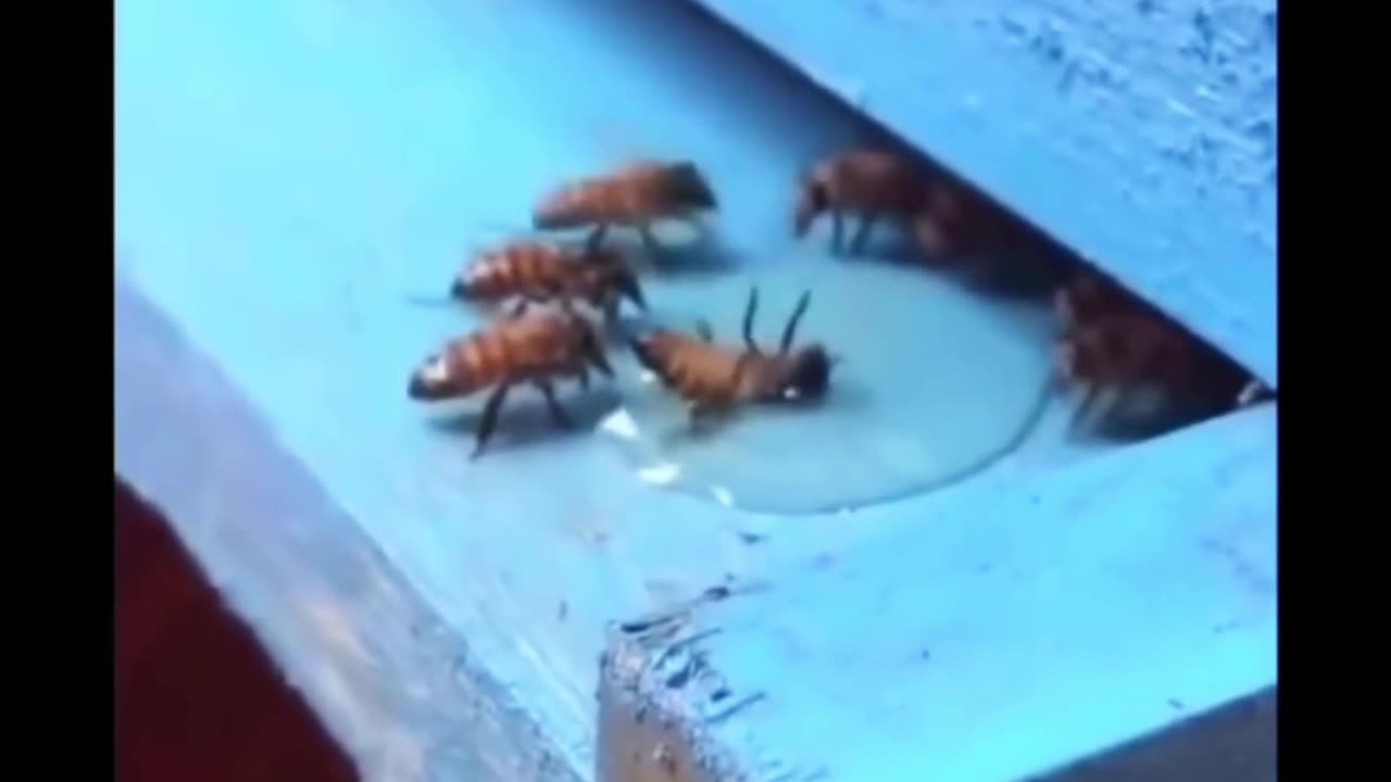 Hard Times Reveal True Friendship