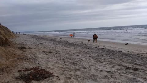 The Captain's View. South Carlsbad State Beach - North Ponto, Carlsbad, California.