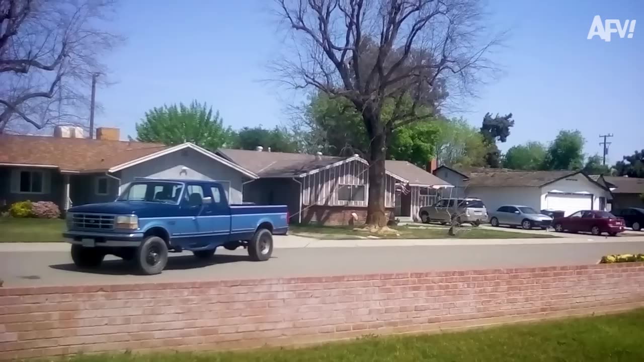 Epic Chaos Caught on Camera