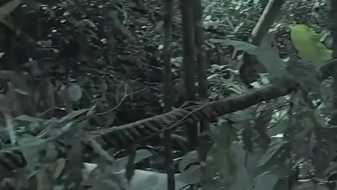 Best movie of all time Part 002