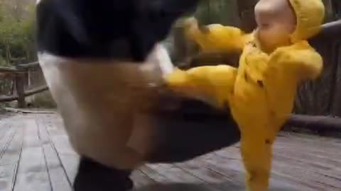 Panda And Cute Boy Fight #Funny