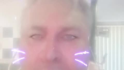 CatZ Memory.....98 X Hi č. ....