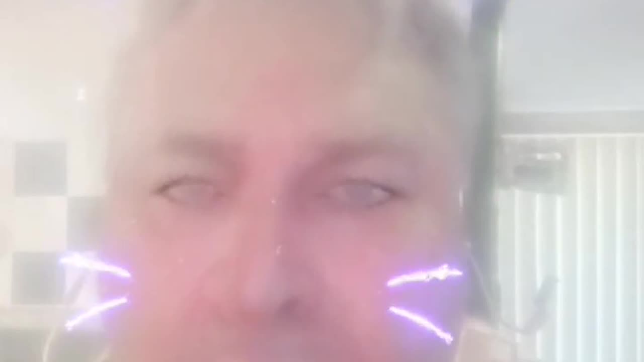 CatZ Memory.....98 X Hi č. ....