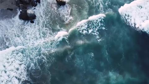 The Zionist Puppeteer Behind the Bible -