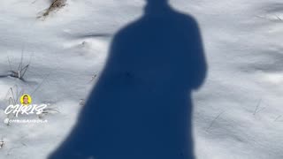 WHAT THE DEER LEFT BEHIND!