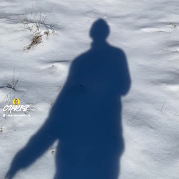 WHAT THE DEER LEFT BEHIND!