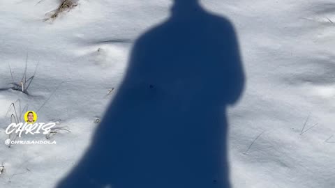 WHAT THE DEER LEFT BEHIND!