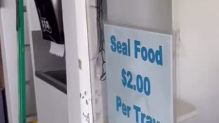 😂🐘 You Won't Believe This Zoo's New Drive-Thru! | FunFM