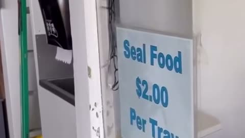 😂🐘 You Won't Believe This Zoo's New Drive-Thru! | FunFM