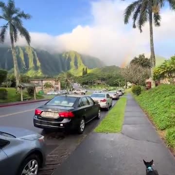 Mornings in Hawaii 🙏😊