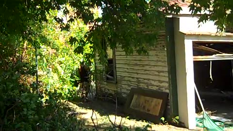 Sam & Netta,,,,,,,,,,,,, WERKINN, lol, THE SHEA SHOW