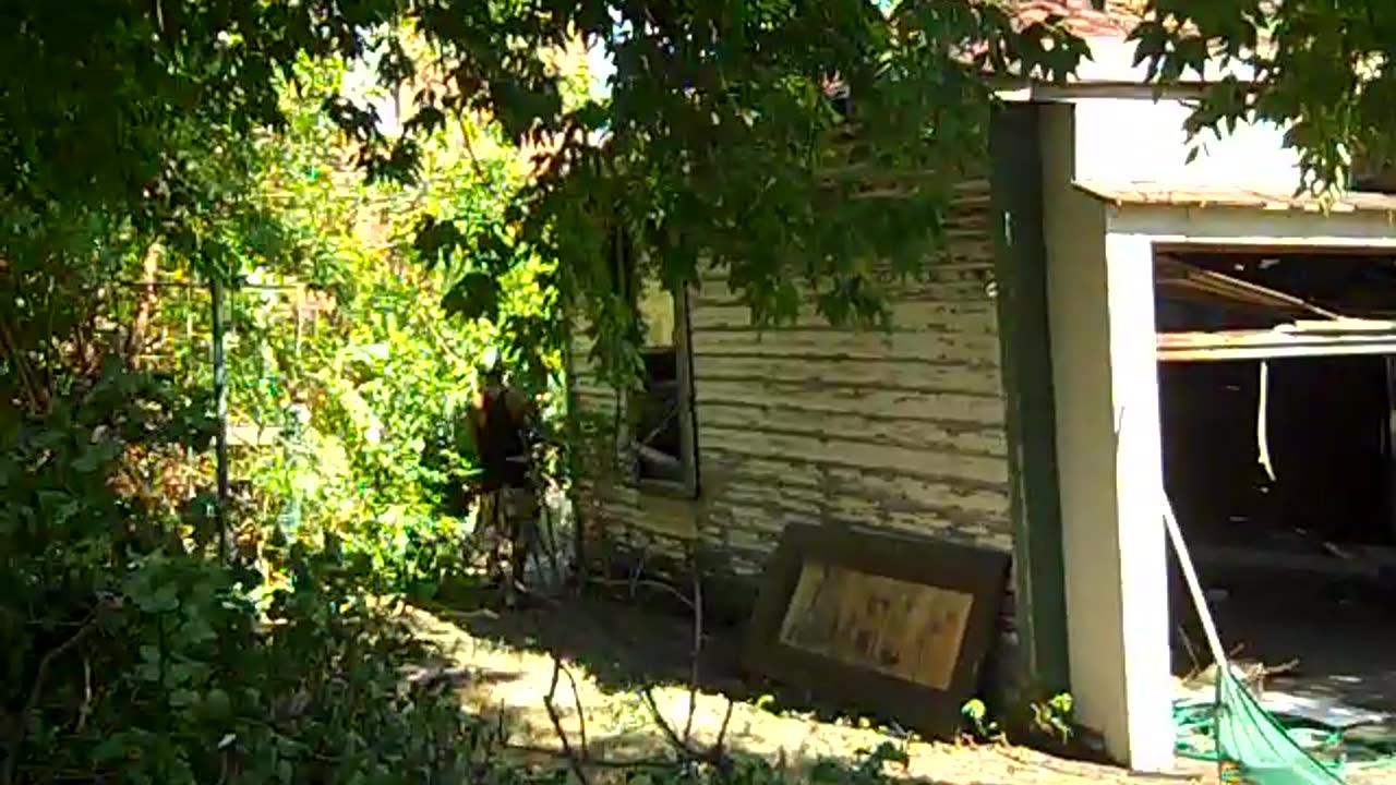 Sam & Netta,,,,,,,,,,,,, WERKINN, lol, THE SHEA SHOW