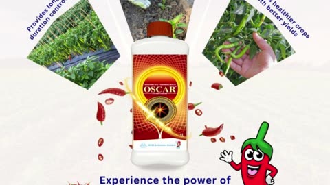 Top Herbicides for Indian Farmers | NACL Industries Ltd