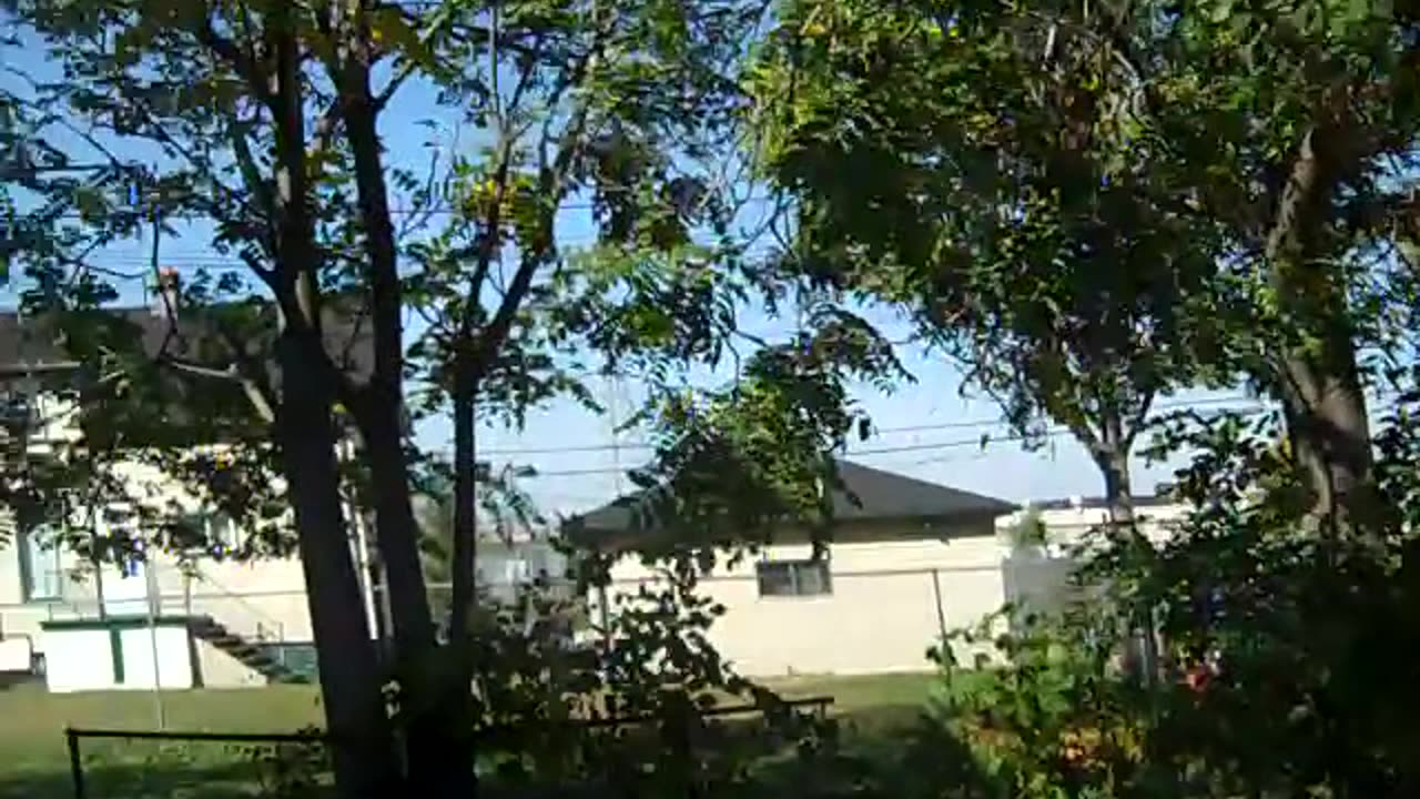 This is a nice Place Daniel, Looks look at the SHEA SHOW