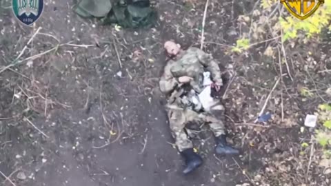 Destruction of a camouflaged Russian tank, infantry and equipment by soldiers from "Magyar Birds"