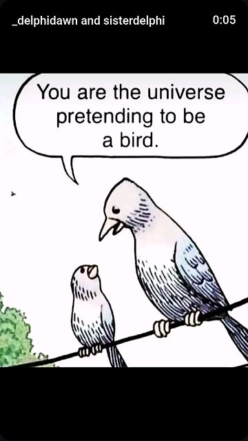 Take a Ticket in The Cosmic Lottery ✨🌠🦜♾️