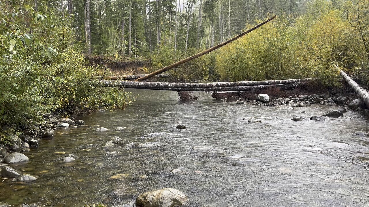 How to Cook A Grouse-Lemon Pepper Bacon and Butter