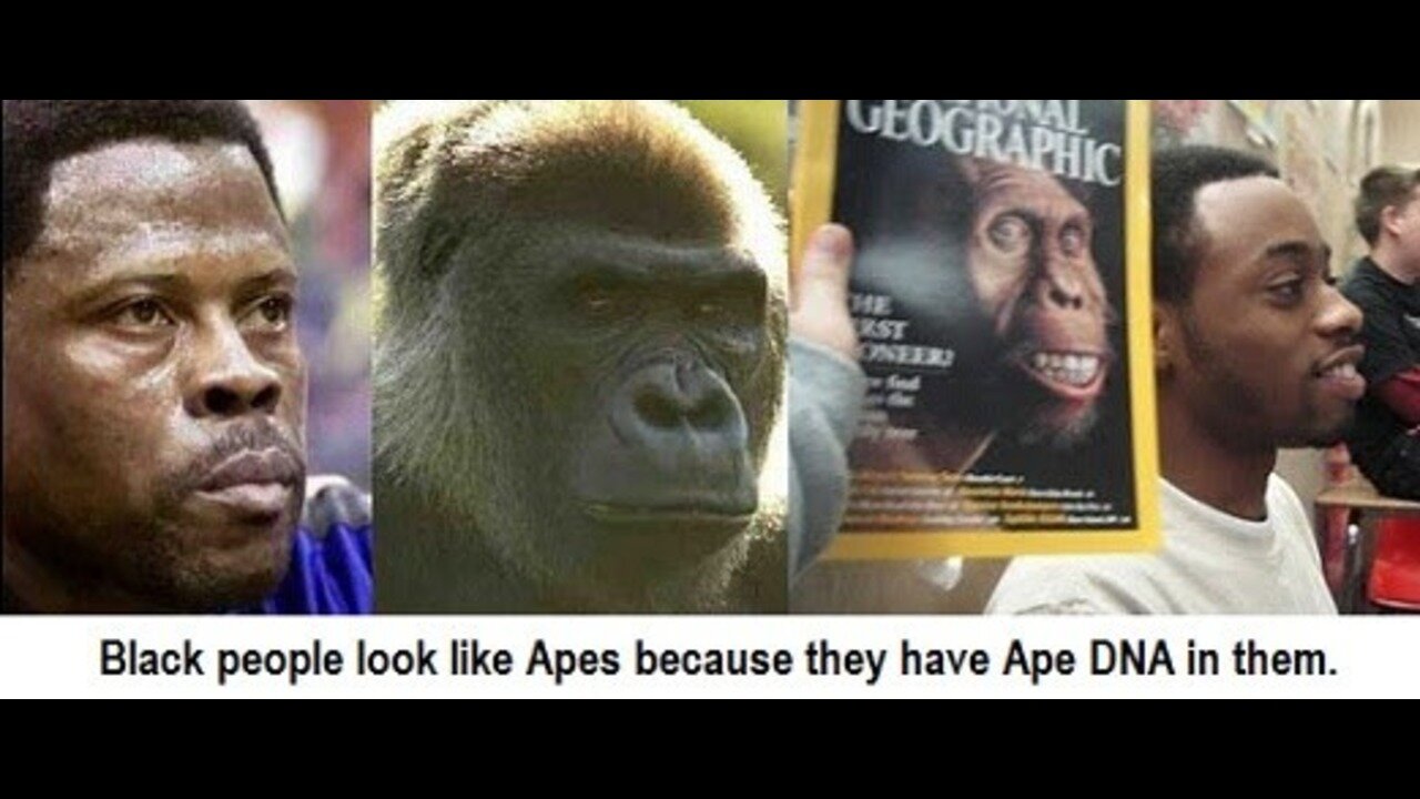 Reverting Back to Their Primitive African Ancestry