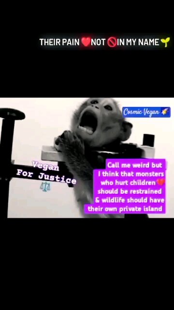 THEIR PAIN 💔 NOT 🚫IN MY NAME