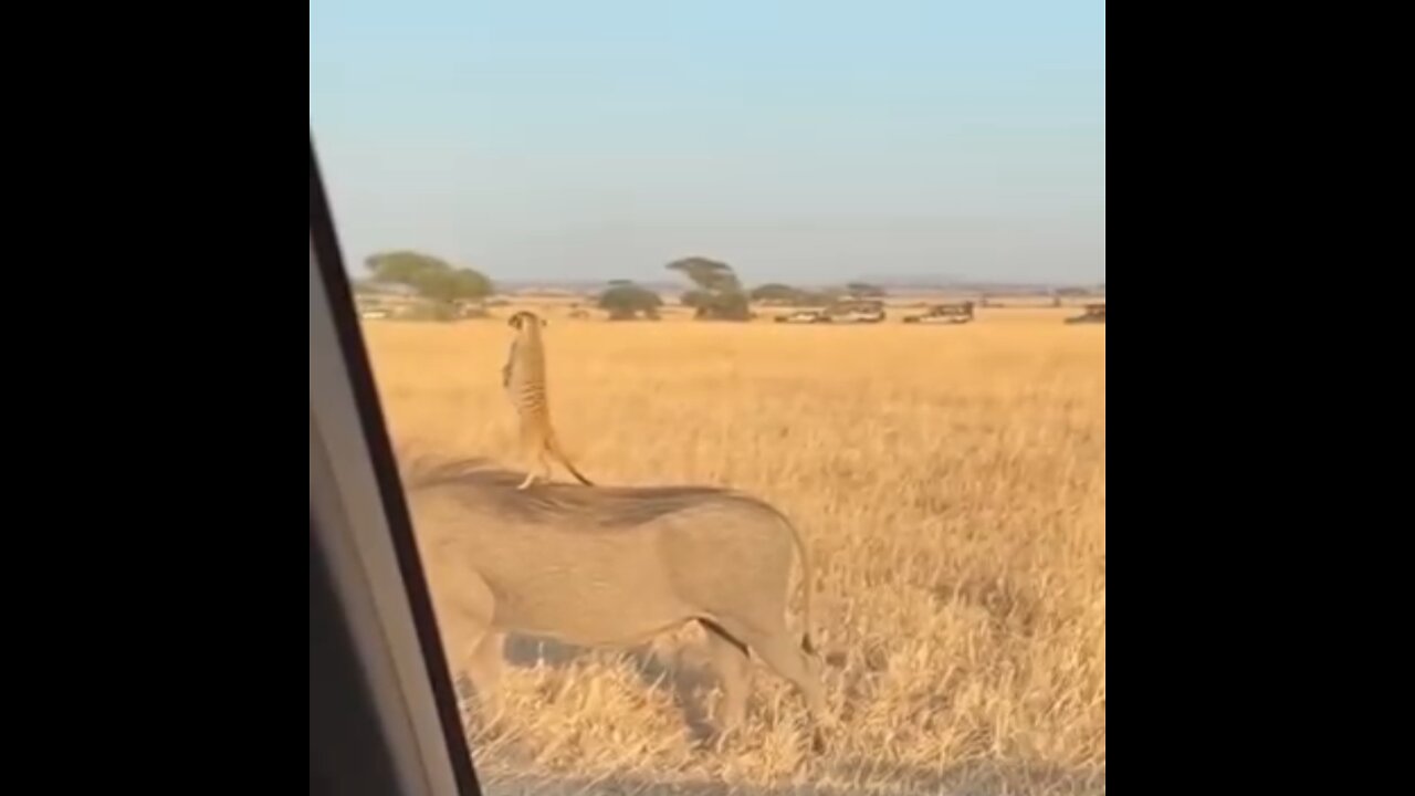 What’re friends for...