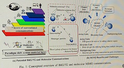 Molecular Communication MIMO