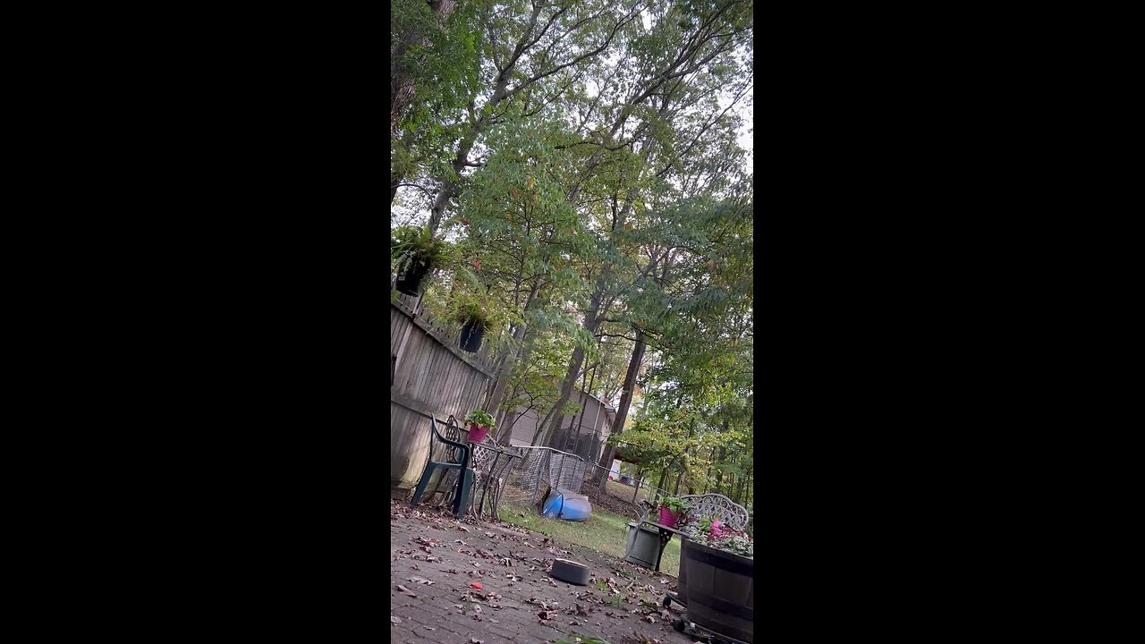 Broadcasting from a satanic alter run by masons