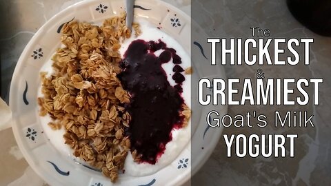 The Thickest & Creamiest Goat's Milk Yogurt!
