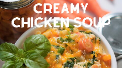 ALWAYS A WINNER * Creamy Chicken Soup Recipe