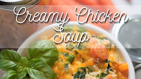 ALWAYS A WINNER * Creamy Chicken Soup Recipe